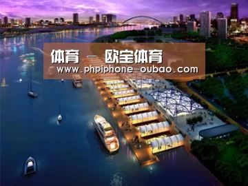 案例展示八(图1)