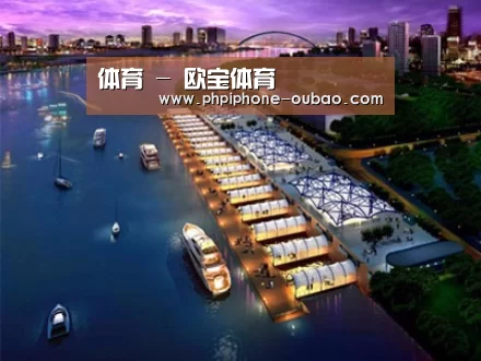 案例展示八