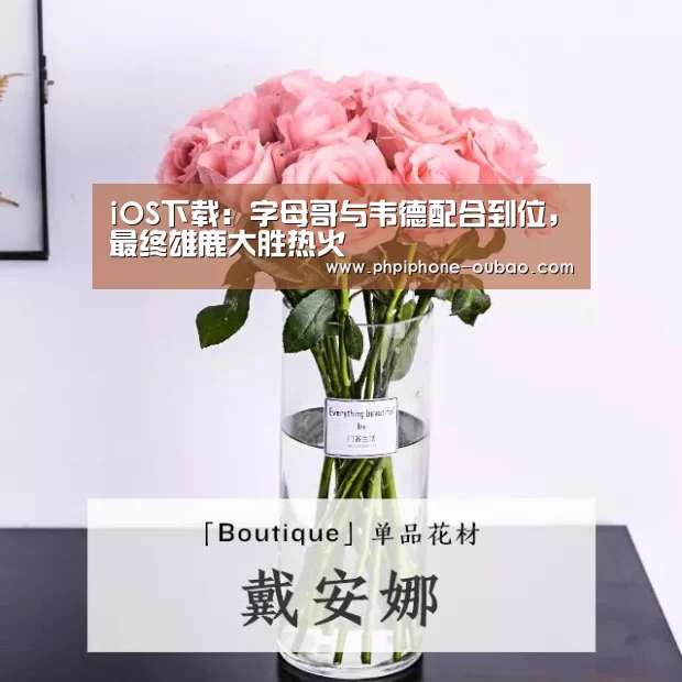 iOS下载:字母哥与韦德配合到位,最终雄鹿大胜热火(图4) APP下载