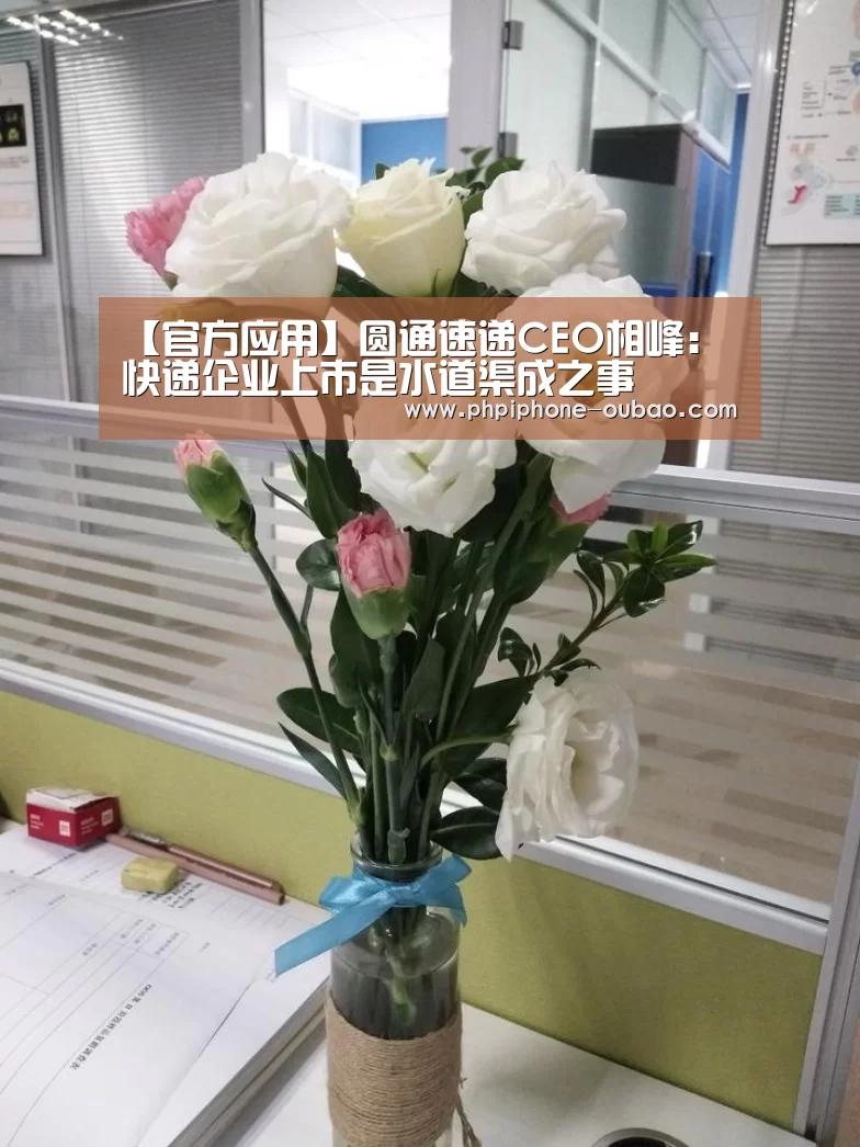 APP下载