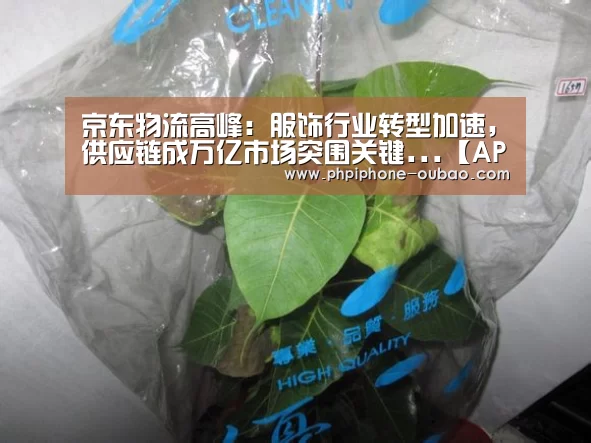 京东物流高峰:服饰行业转型加速,供应链成万亿市场突围关键...【APP下载】(图2) 欧宝体育APP